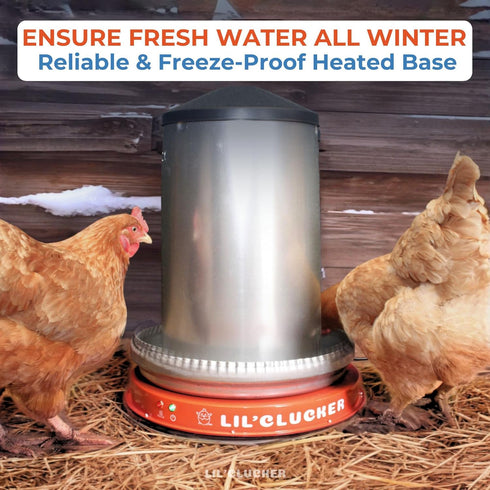 11 Inch) Lil'Clucker Heated Base for Chicken Waterer Automatic Metal Freeze Proof Heated Chicken Waterer with Heater