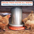 11 Inch) Lil'Clucker Heated Base for Chicken Waterer Automatic Metal Freeze Proof Heated Chicken Waterer with Heater