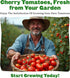 2 Sunset Epic Gardening Cherry Tomato Seed Bundle - Sweet & Juicy Varieties, Includes Tropical & Chadwick Cherry