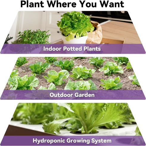 400+ Seeds(7-Pods) LYKOCLEAN Red Romaine Lettuce Seed Pods for AeroGarden, Ahopegarden, iDOO Hydroponics Growing System