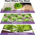 400+ Seeds(7-Pods) LYKOCLEAN Red Romaine Lettuce Seed Pods for AeroGarden, Ahopegarden, iDOO Hydroponics Growing System