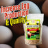 1lb Healthy Greens Wheatgrass Scratch Feed & Fodder Seed, Bag. Premium Wheat Berries, Non-GMO Wheatgrass for Backyard