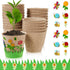 Jecery 12 Sets Garden Paper Craft Kit DIY Foam Flower Pots, Flower