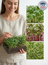 (1/4 Todd's Seeds Sprouting Seed Mix; Broccoli, Radish, Alfalfa, Non-GMO, Chemical Free, High Germination Pound)