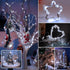 HOBAYS 6 Pack 7ft 20 Fairy Lights Battery Operated LED Mini String Lights Twinkle Lights Silver Wire Firefly Starry
