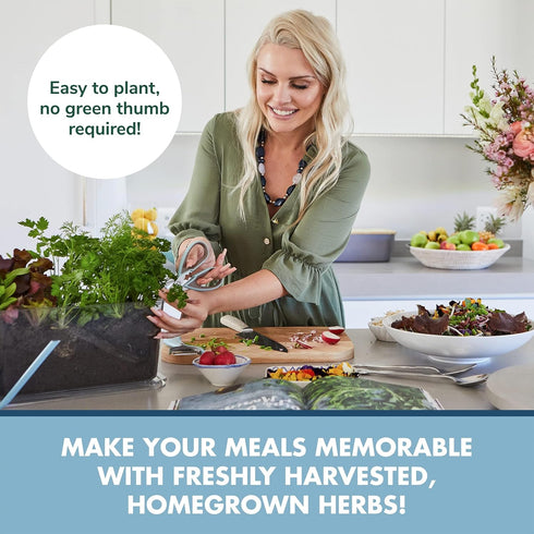 Indoor Herb Garden Starter Kit - Heirloom, Non-GMO Herb Seeds - Basil Thyme Parsley Cilantro Seed, Potting Soil, Pots