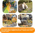 CLOCAL 14.8 Oz 10 Nesting Herbs for Chicken Coop - Natural Dried Herbs for Chicken Coop Accessories, Hens Accessories