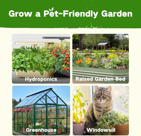 16 15,000+ Lush&Dew Pet-Friendly Heirloom Seed Bank, Gardening Gifts for Women Men, Varieties Non-GMO Seeds