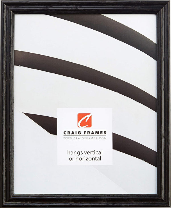 Craig Frames 200ASHBK Picture/Poster Frame, 0.75-Inch Wide, Black, 18 by 24-Inch, Wood Grain Finish