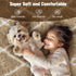 TOOHUB 8X10Feet Fluffy Rug for Bedroom, Stripe Checkered Rug Anti-Skid High Pile for Living Room Bedroom Kids Room