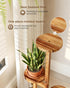 3 Bamworld Tier Plant Stand Indoor, Corner Wood Plant Shelf for Multiple Plants, Small Tiered Round Flower Stand