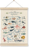 HRQKO Ocean Alphabet Poster Hanger Frame, Ocean Nursery Decor, Sea Animal Wall