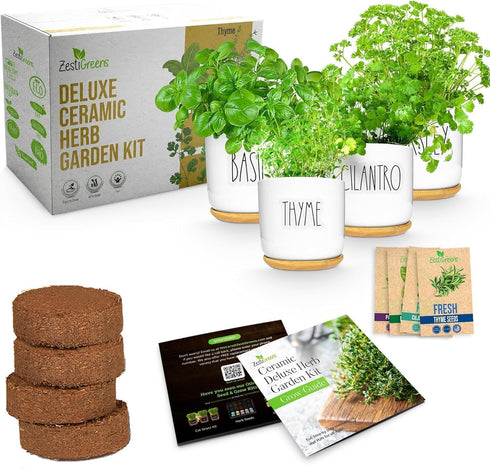 Deluxe Ceramic Indoor Herb Kit 4 Set. Variety Herbs for Indoor &