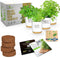 Deluxe Ceramic Indoor Herb Kit 4 Set. Variety Herbs for Indoor &