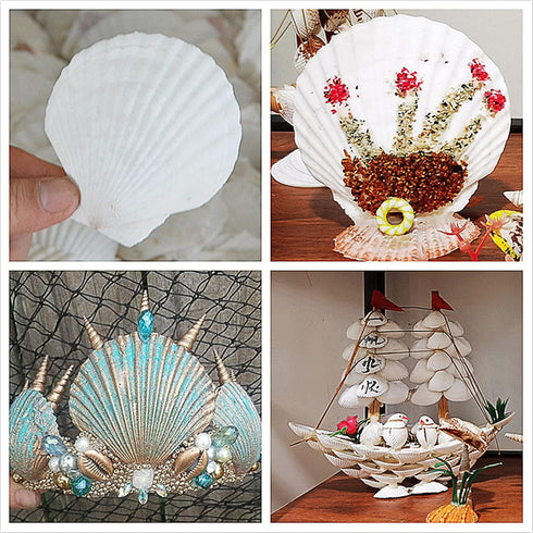 16PCS White Scallop Shells, 2.7"~3.5" for Crafts, Baking Shells, DIY Painting, Wedding Decoration