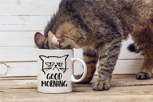 CBTwear Good Morning Funny Grumpy Cat 11oz White Ceramic Coffee Mug - Unique Cat Mom Gift for Any Occasion