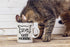 CBTwear Good Morning Funny Grumpy Cat 11oz White Ceramic Coffee Mug - Unique Cat Mom Gift for Any Occasion