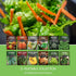 12 Pack Vegetable Seed Variety for Planting - Heirloom Broccoli, Carrot, Basil, Lettuce, Onion, Pepper, Swiss Chard