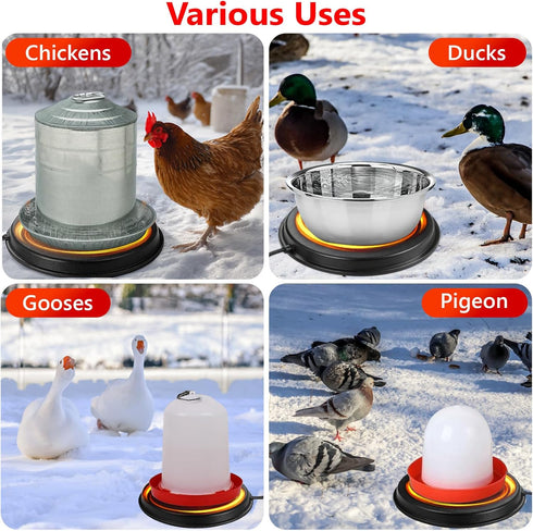 Winter,14 Inch 80W,Chicken Poultry Chicken Water Heater - KOKOPRO Poultry Water Heater Base for for Plastic/Metal