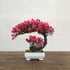 8.5" Fake Plants Small Artificial Bonsai Tree for Home Decor Living Room Bathroom Bookshelf Entryway Table Wall Shelf
