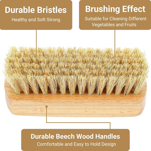 SEPGLITTER Vegetable Brush - Cleaning Brush for Potato, Carrot, Cucumber, and Fruits, Scrubber for Food