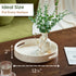 12.6 Inch Counter, CHI AN HOME Capiz Round Decorative Tray, Decorative Serving Tray with Handles for Coffee Table