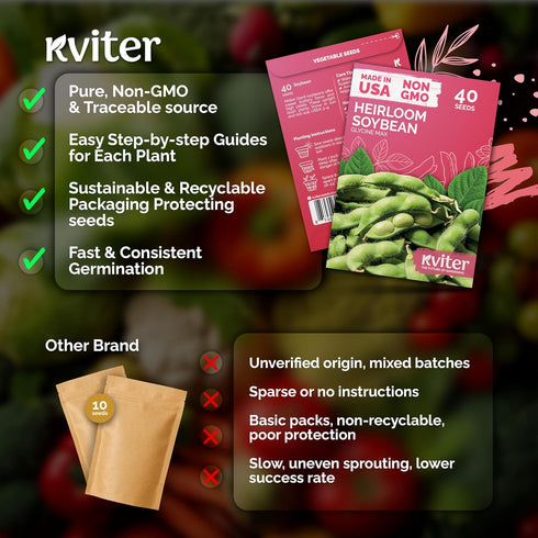 40 KVITER Soy Bean Midori Giant Edamame Seeds (Glycine max) - Green Soybean, Soy Beans Organic Non GMO Variety, Sweet