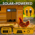 Anti-Pinch 5-Year Okkobi Automatic Chicken Coop Door Solar Powered - LCD Display - Chicken Coop Door with Remote