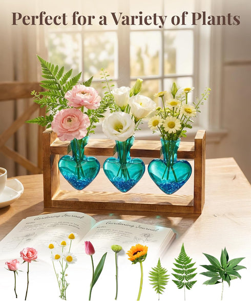 3 Bulb Nacome Plant Terrarium Propagation Stations: Mothers Day Gifts for Mom Plant Lovers Women Wife Daughter - Glass