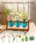 3 Bulb Nacome Plant Terrarium Propagation Stations: Mothers Day Gifts for Mom Plant Lovers Women Wife Daughter - Glass
