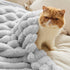 350GSM Cozy Grey60x80 Inches, Bedsure Twin Blanket for Couch - Super GentleSoft Fuzzy Fluffy Blankets for Women, Cute