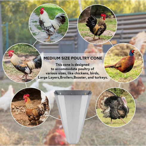 8 (3 Pack) Medium Size Galvanized Steel Chicken Restraining Cone for Chickens, Large Layers, Broilers, Roasters