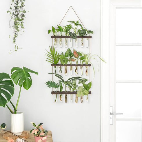 3 21 Mkono Plant Propagation Tubes, Tiered Wall Hanging Terrarium with Wooden Stand & Test Tube Vases for Hydroponic