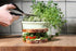 Axel's Garden Seeds (1/2 Di Cicco Organic Broccoli Seeds for Growing Microgreens Heirloom, Non GMO Seeds to Plant