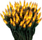 100 Gold Frost Christmas Lights on a Green Wire String, UL Approved,