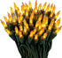 100 Gold Frost Christmas Lights on a Green Wire String, UL Approved,