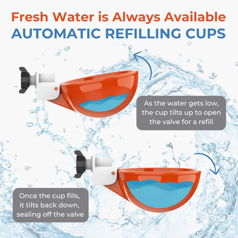 5-Pack) Lil'Clucker Large Automatic Chicken Waterer Cups | Chicken Water Feeder Suitable for Chicks, Duck, Goose