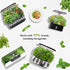 18-Pod 350+ inbloom Herb Seed Pod Kit Compatible with AeroGarden, Ahopegarden, Gardencube Hydroponic Garden with Seeds: