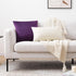 Mixhug Set of 2 Cozy Velvet Square Decorative Throw Pillow Covers for Couch and Bed, Purple, 18 x 18 Inches