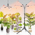 FECiDA Gamechanger! 36 Watt Power Draw, NO Need Adapter, 4Head Grow Light
