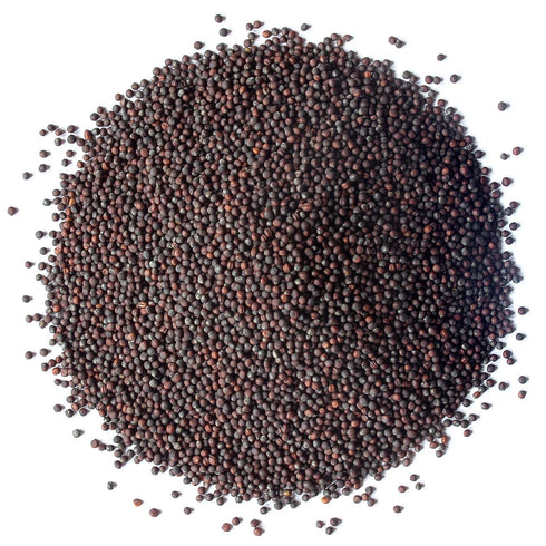 2 Food to Live Organic Broccoli Seeds for Sprouting, Ounces Non-GMO, Vegan, Kosher, Sirtfood, Bulk. Rich