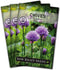 Sow Right Seeds - Common Chives Seed for Planting - Non-GMO Heirloom