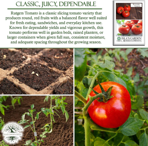 100+ Rutgers Tomato Seeds (Solanum lycopersicum) Non GMO & Heirloom Seeds, Balanced Flavor All Purpose Tomato Variety