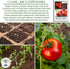 100+ Rutgers Tomato Seeds (Solanum lycopersicum) Non GMO & Heirloom Seeds, Balanced Flavor All Purpose Tomato Variety