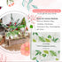 (5 KAXYEW Desktop Glass Plant Propagation Station Test Tube Plant Terrarium in Wooden Stand for Hydroponic Plants