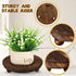3 8/6/4 Inch Amyhill Pcs Wooden Risers for Display Wood Pedestal Stand Mini Tray Stand Round Wooden Pedestal Holder