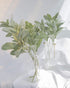 SUUKI Faux Lambs Ear Stems (5Pcs) Flocked Artificial Greenery for Home Wedding DIY Craft Floral Arrangement