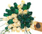 Closed Bud Roses Flower Bouquet - St. Patrick's Day Green and White (3 Dozen)