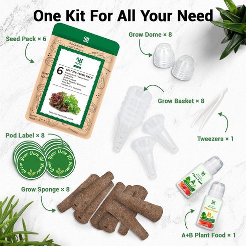 8 600+ 4 Lettuce Seed Pods for All Hydroponics Growing System, Pods with Seeds of Romaine/Butter Head/Red&Green