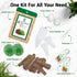 8 600+ 4 Lettuce Seed Pods for All Hydroponics Growing System, Pods with Seeds of Romaine/Butter Head/Red&Green